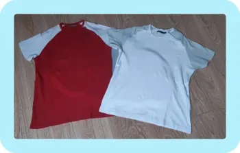 Lot de 2 tee-shirts MC "jules" taille L