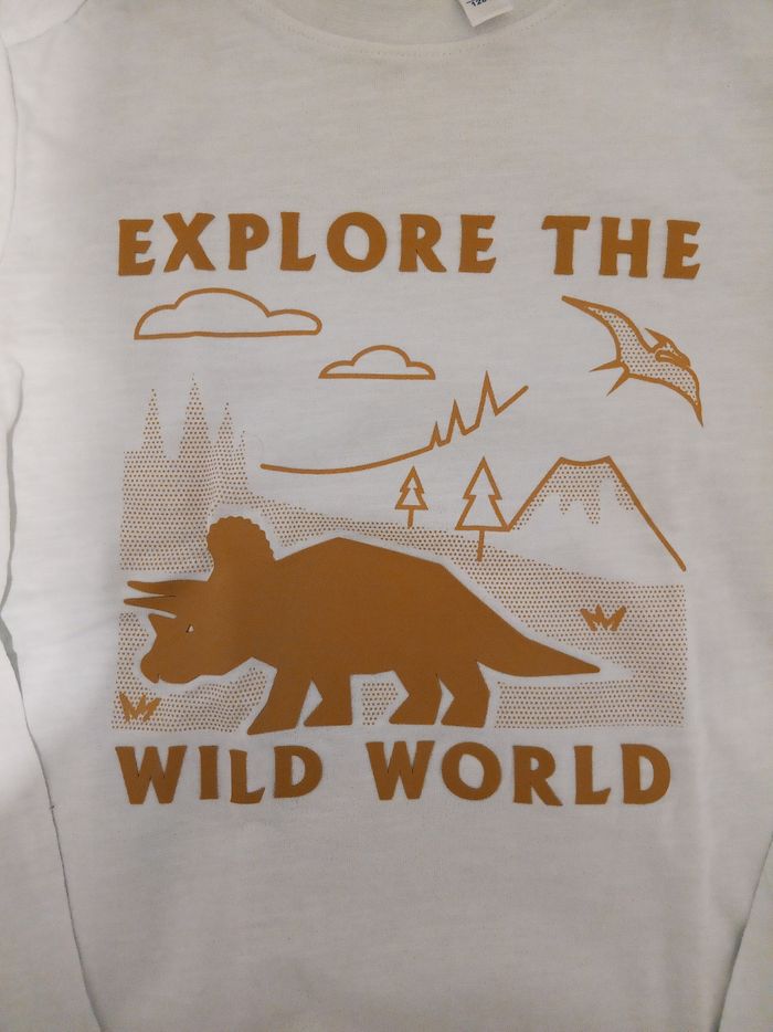 T-shirt ML "explore the wild world" _ 8 ans - photo numéro 2