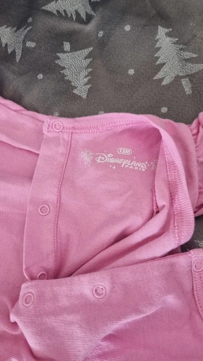 Grenouillère disneyland Paris - photo numéro 4