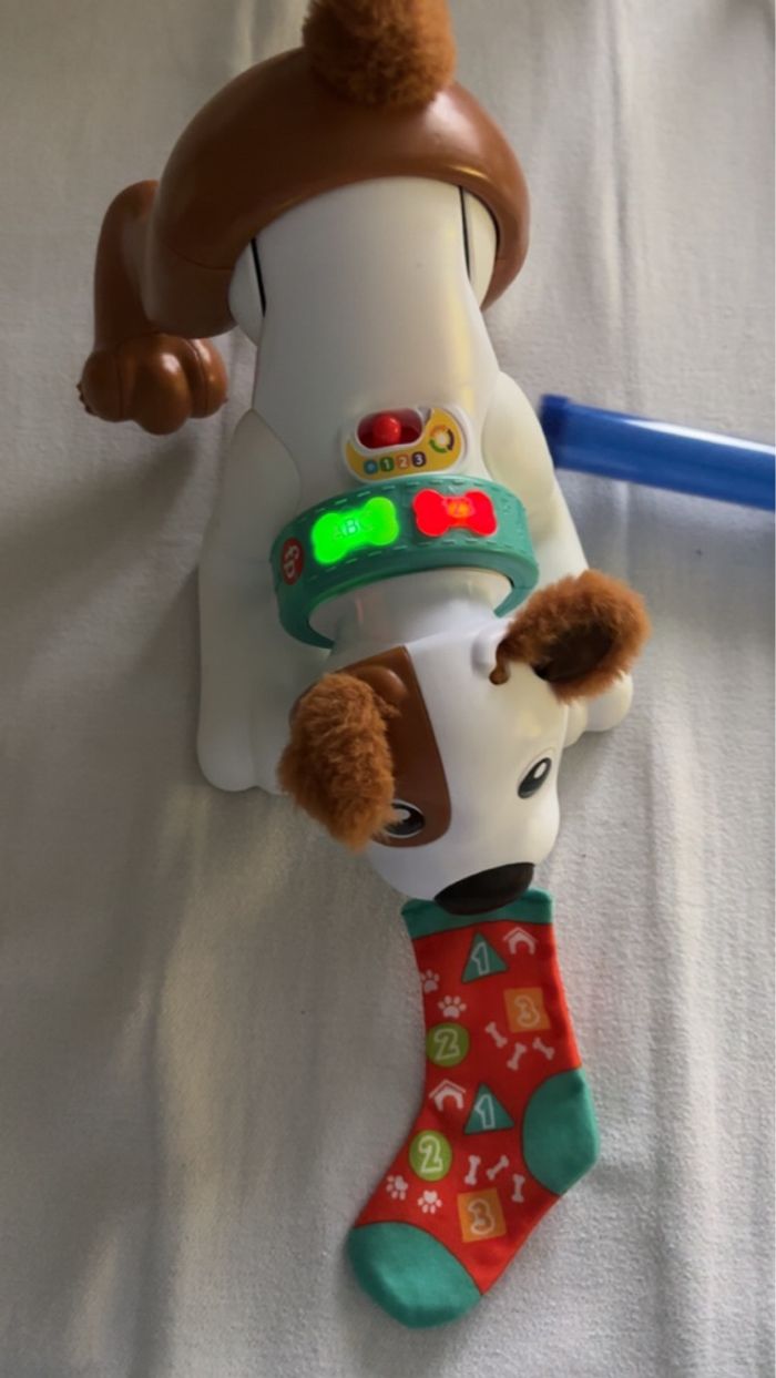 Jeux chien - photo numéro 2