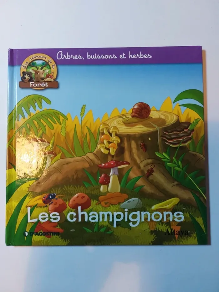Livre enfant Arbres, buissons et herbes - Les champignons