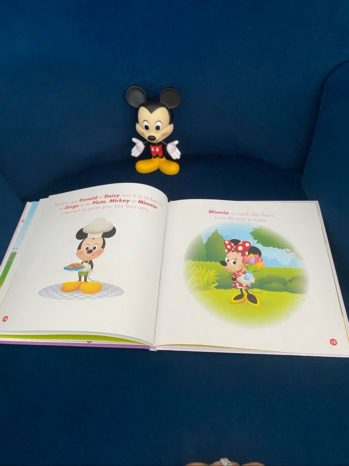 Mickey - photo numéro 3