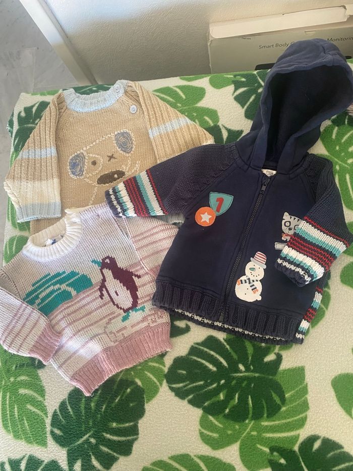 2 pull et 1 veste avec capuche 3/6 mois TBE