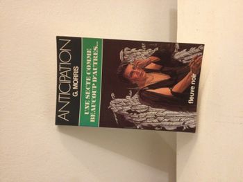 Livre une secte comme beaucoup d'autres G.Morris fleuve noir