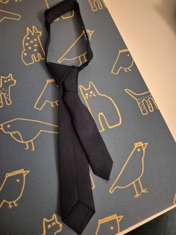 Cravate garçon 3/4 ans Okaïdi