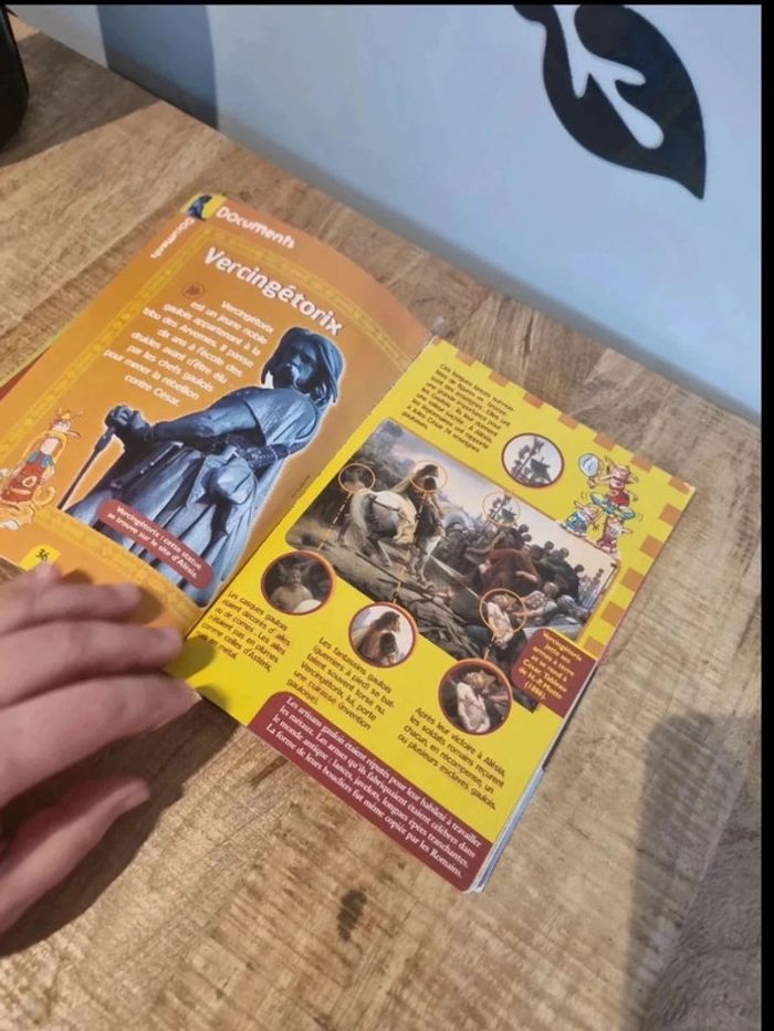 Histoires vraies erasme vercingetorix - photo numéro 5