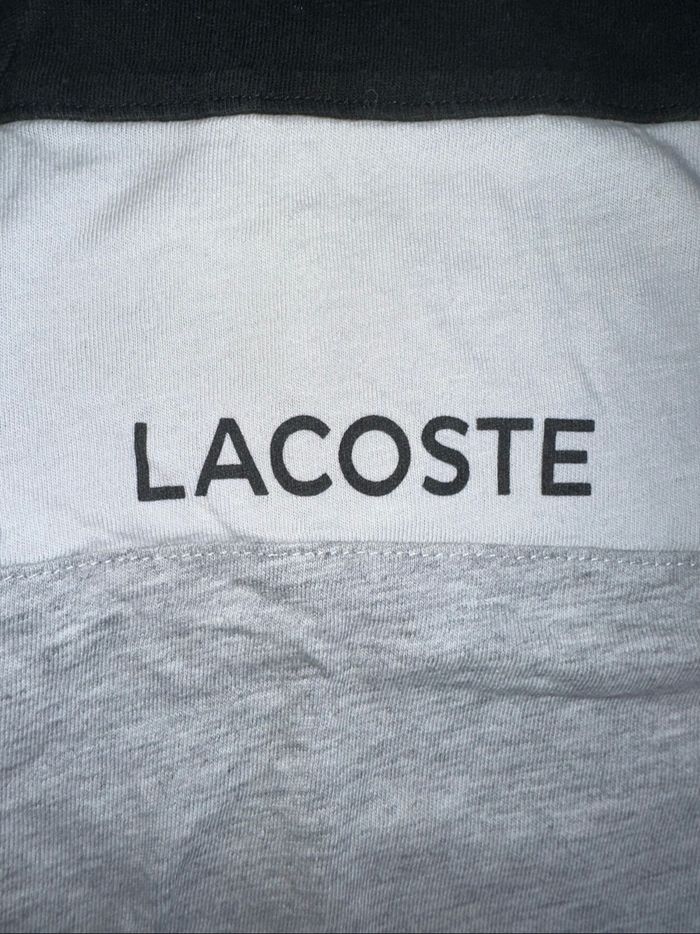 T shirt lacoste - photo numéro 4