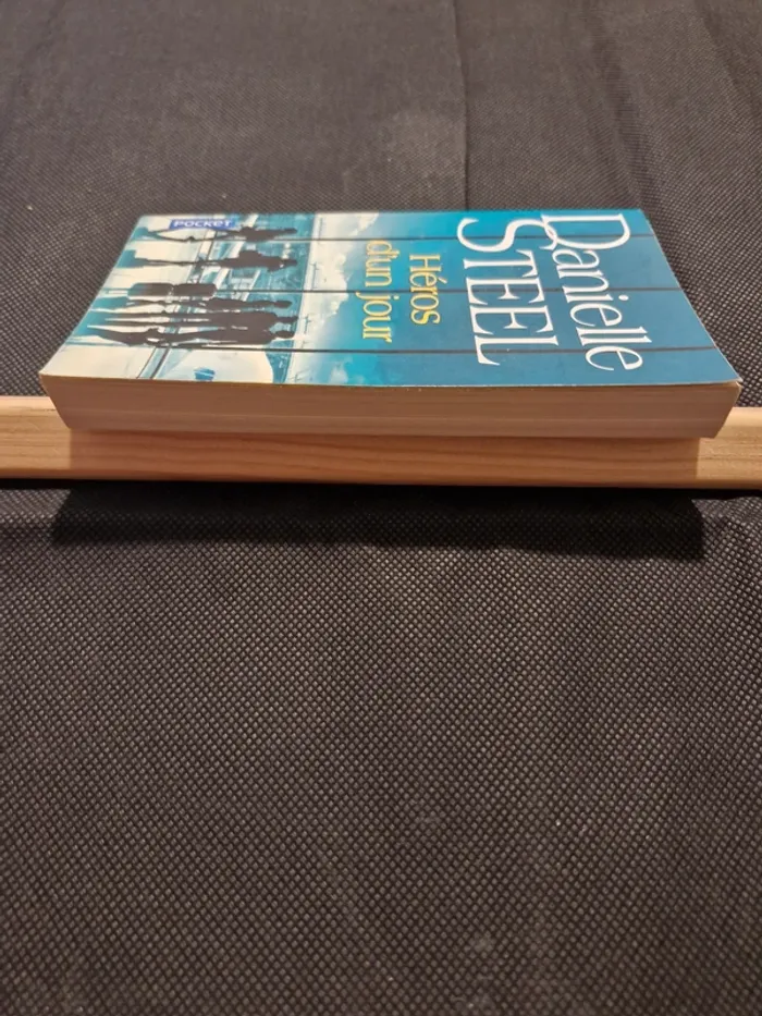 Héros d'un jour - Danielle Steel - photo numéro 3