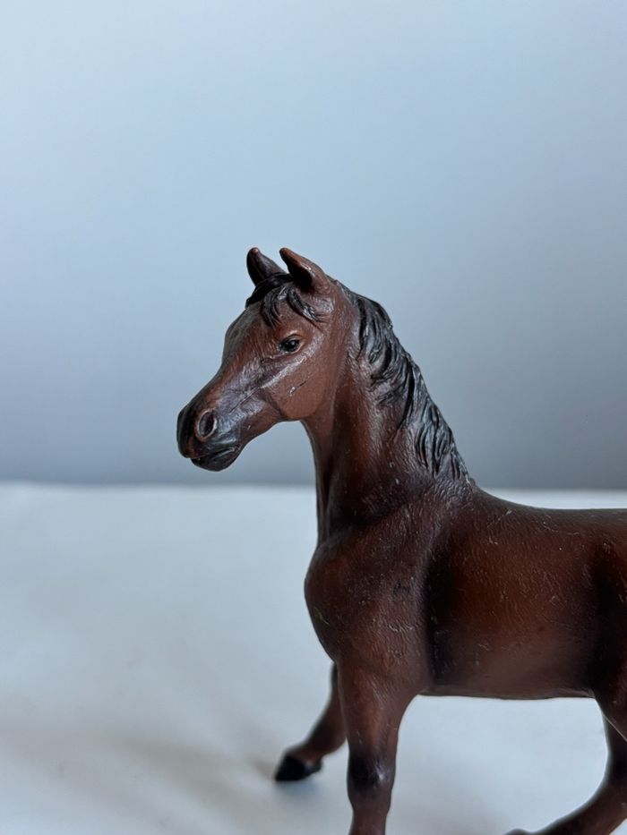 Jument papo - photo numéro 2