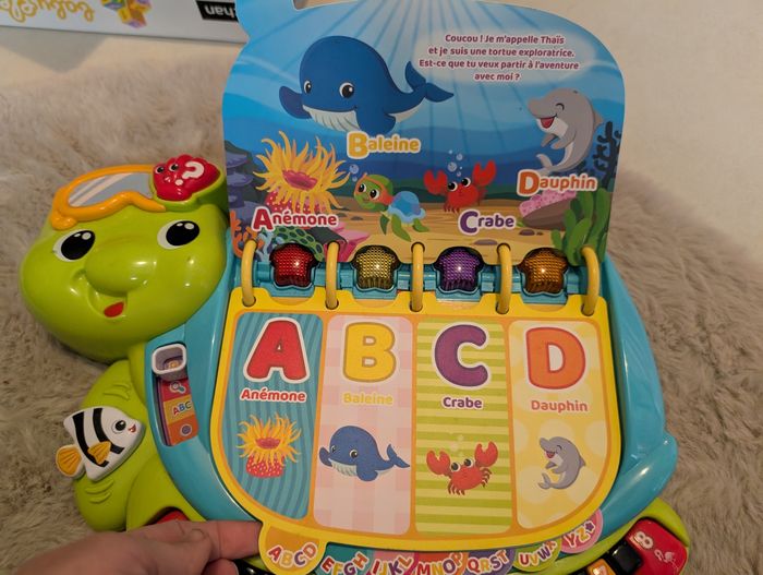 Thaïs la tortue - photo numéro 2