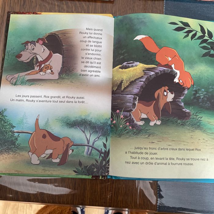 Disney Rox et Rouky - photo numéro 4