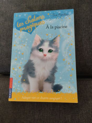 Les chatons magiques à la piscine