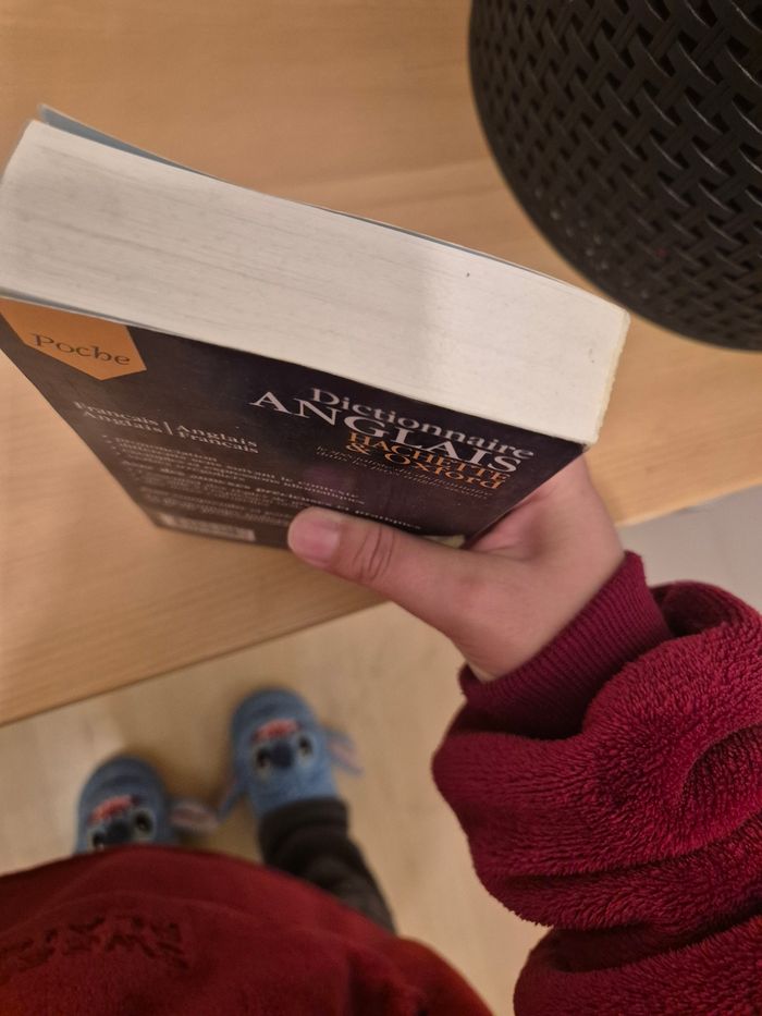 Dictionnaire Anglais - photo numéro 5