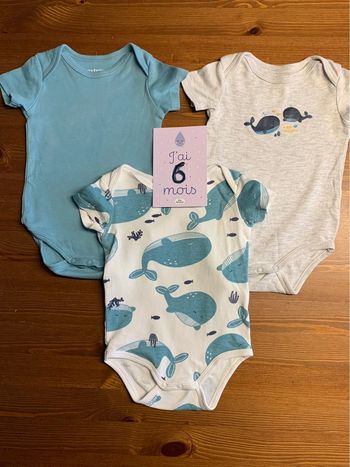 Bodies baleine manches courtes 6 mois