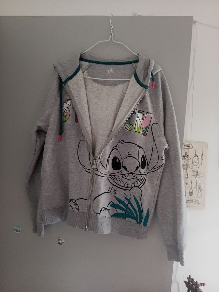 Sweat stitch a capuche Disneyland Paris