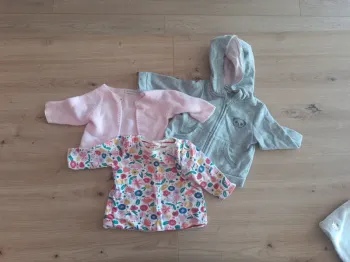 Lot vestes et pull