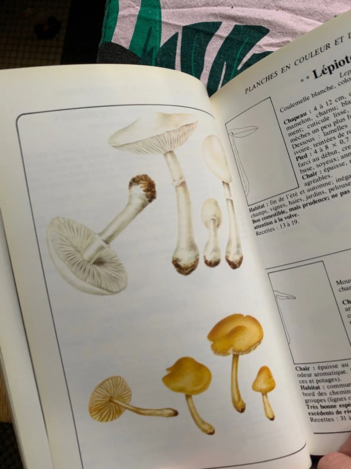 60 champignons 190 recettes - photo numéro 7