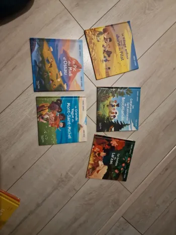 Lot Livres Mac Do Thème Merveilles de France