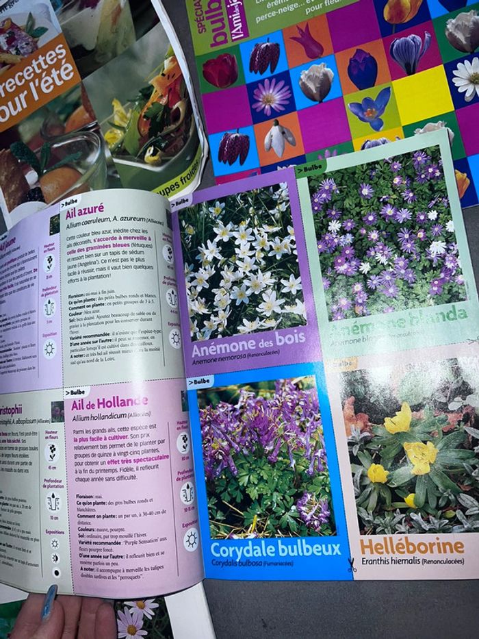 Lot livres bouquins l’ami des jardins et de la maison nature jardinage - photo numéro 3