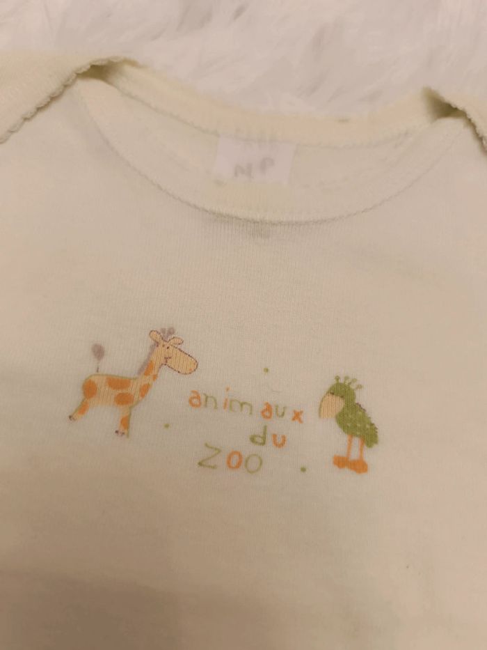 Lot 4 bodies manches courtes T. 12 mois Absorba - photo numéro 18