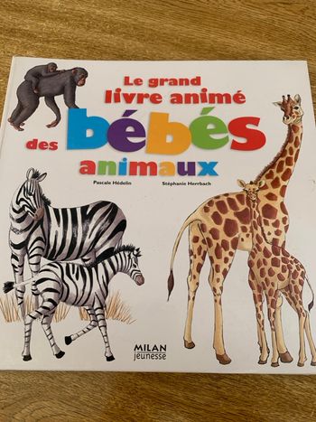 Grand livre de animéso