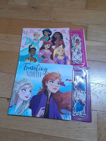 Lot livres aimantés disney