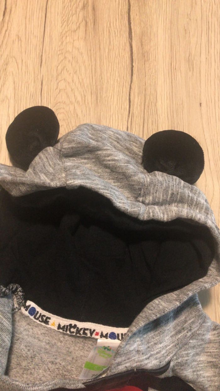 Sweat mickey - photo numéro 6