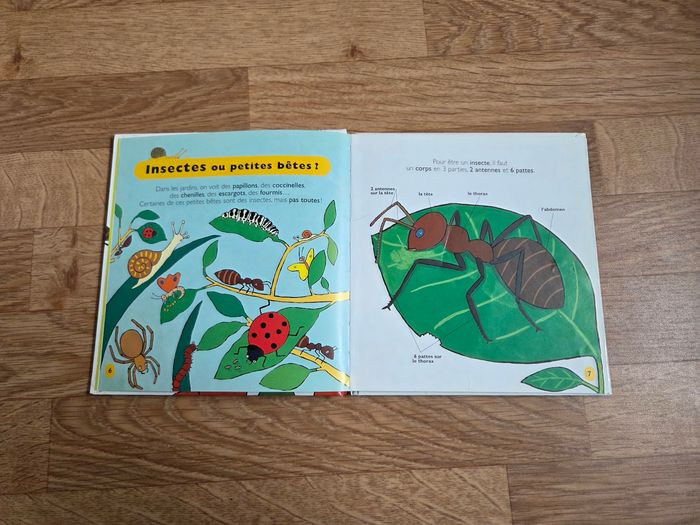 Les Petites Bêtes, Mes Petites Encyclopédies Larousse - photo numéro 3