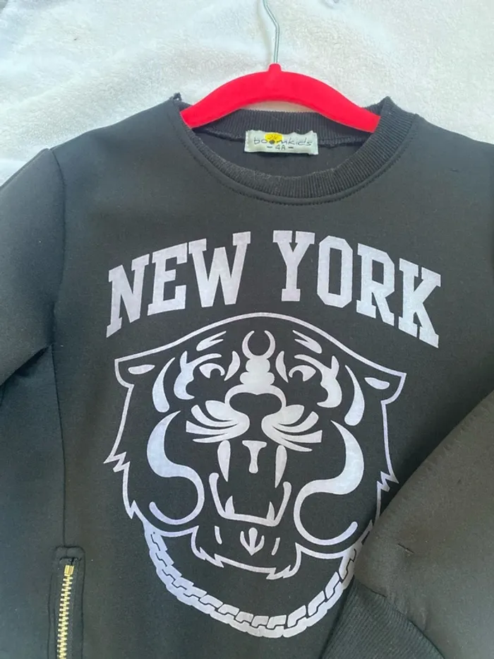 Pull tigre - photo numéro 2
