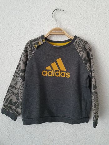 Pull Adidas 18 mois