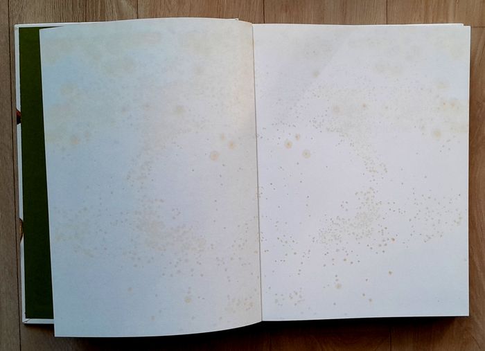 Gibier à poil et à plume - Jean Paul Grappe - photo numéro 10