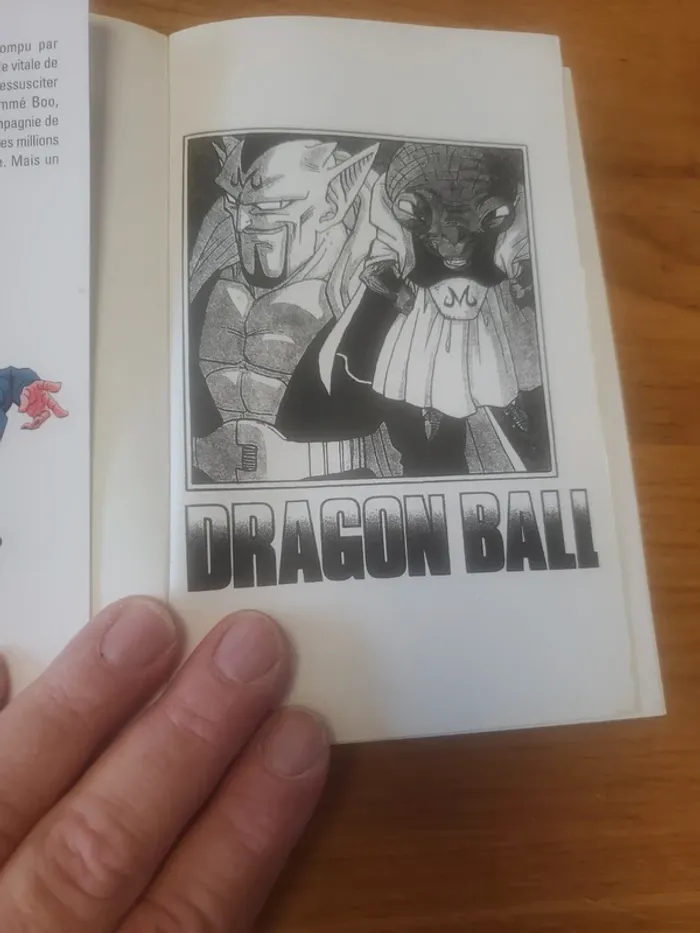 Mangas DBZ numero 38. - photo numéro 5