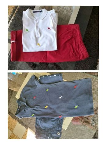 Lot polo et bermuda Chino 14 ans