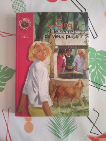 Livre Le Club des Cinq