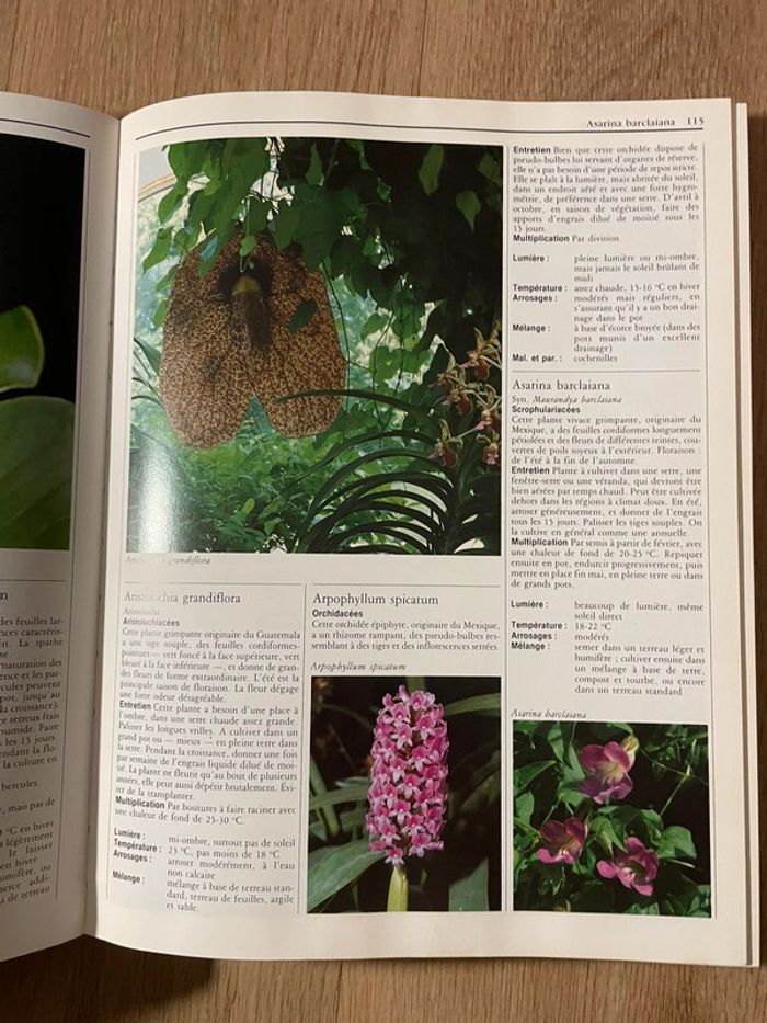 Le grand livre des plantes d'interieur - photo numéro 4