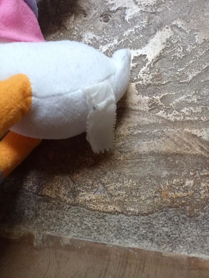Peluche Donald Daisy - photo numéro 4