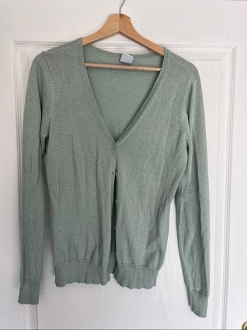Gilet vert à paillettes
