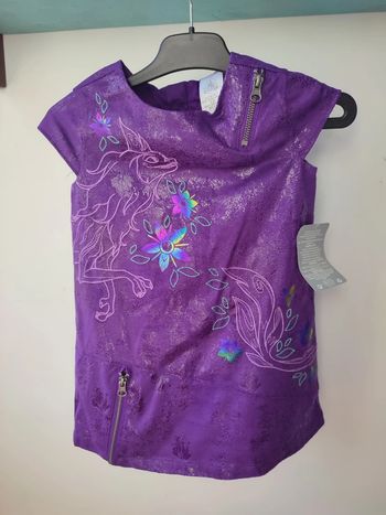 Robe raya et le dernier dragon 🐉