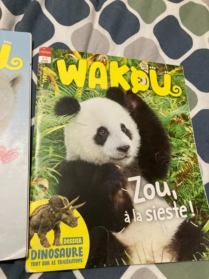 Lot 3 livres wakou - photo numéro 4