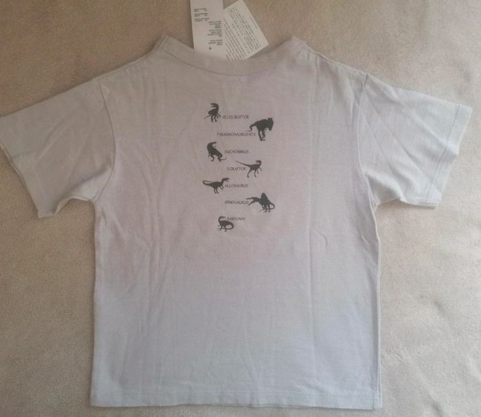 Tee-shirt Uniqlo - photo numéro 4