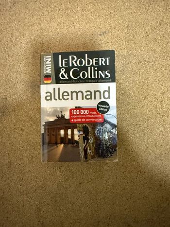Mini dictionnaire allemand