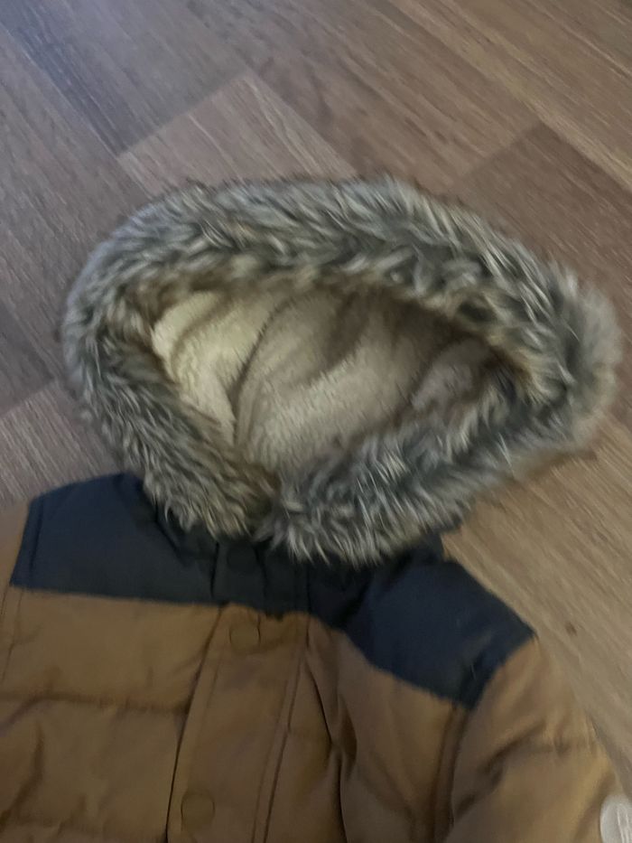 manteau - photo numéro 3