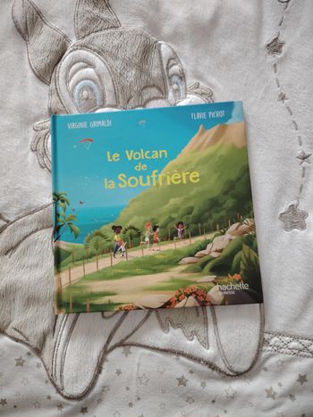 Livre le volcan