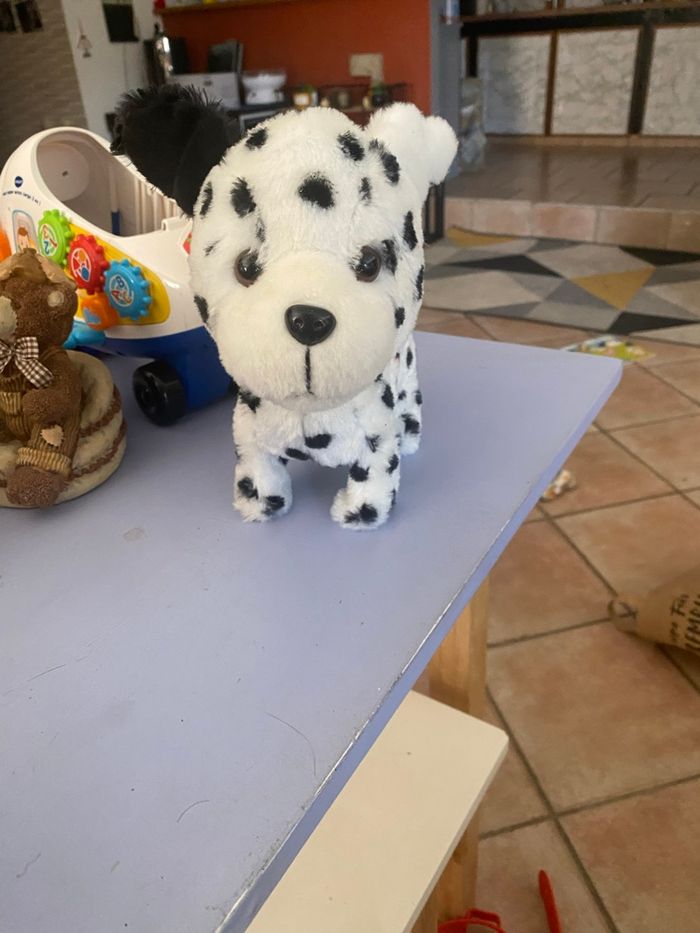 Chiens - photo numéro 3