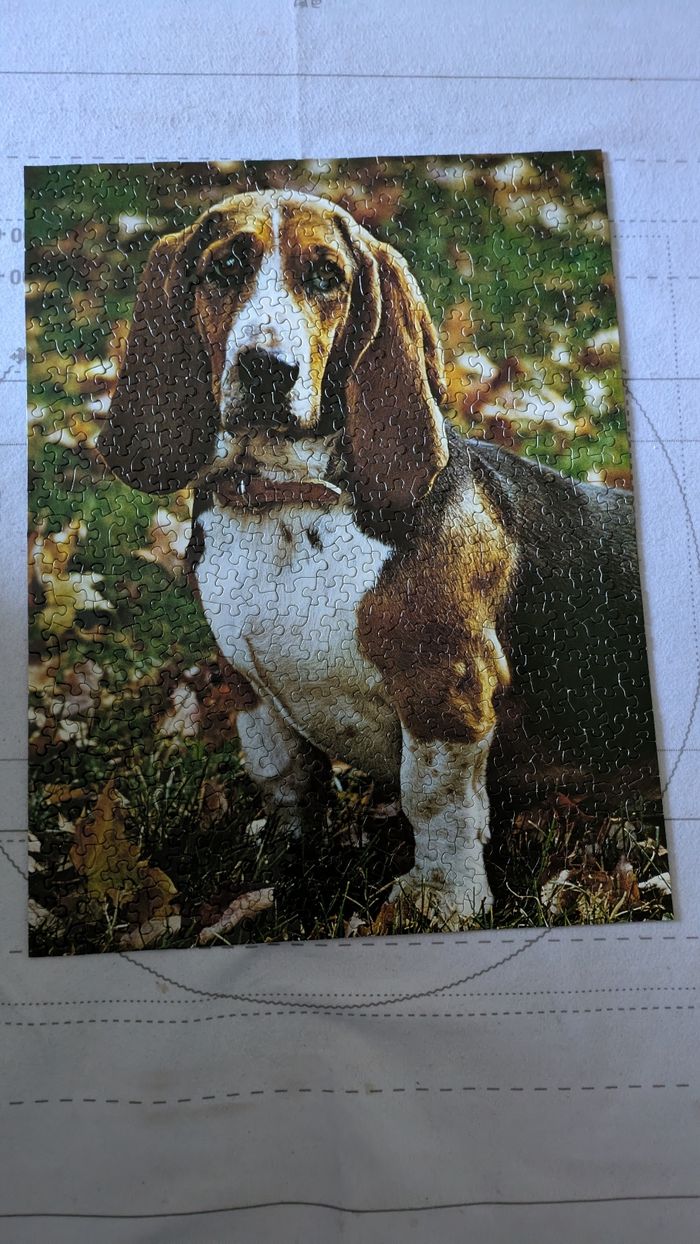 Puzzle - photo numéro 3