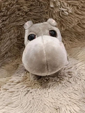 Hippopotame big headz