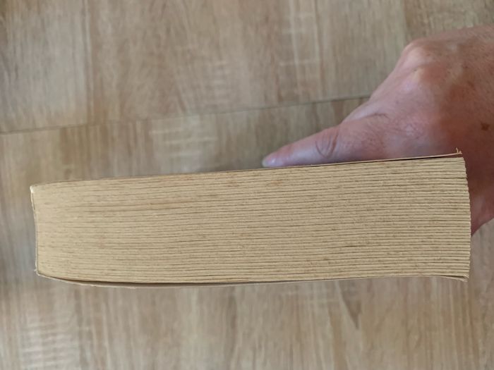 La prophétie d’Avignon - photo numéro 4