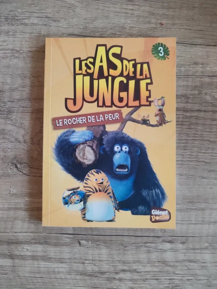 Livre pour enfants "les as de la jungle" numéro 3 "le rocher de la peur"