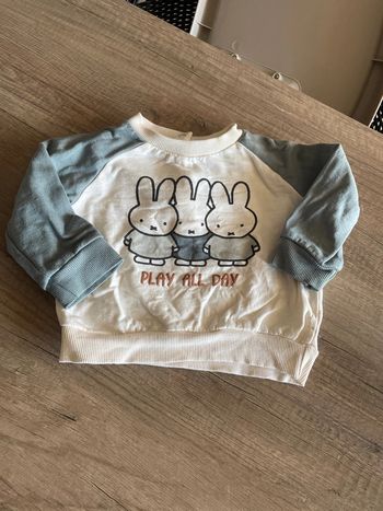 Pull Miffy