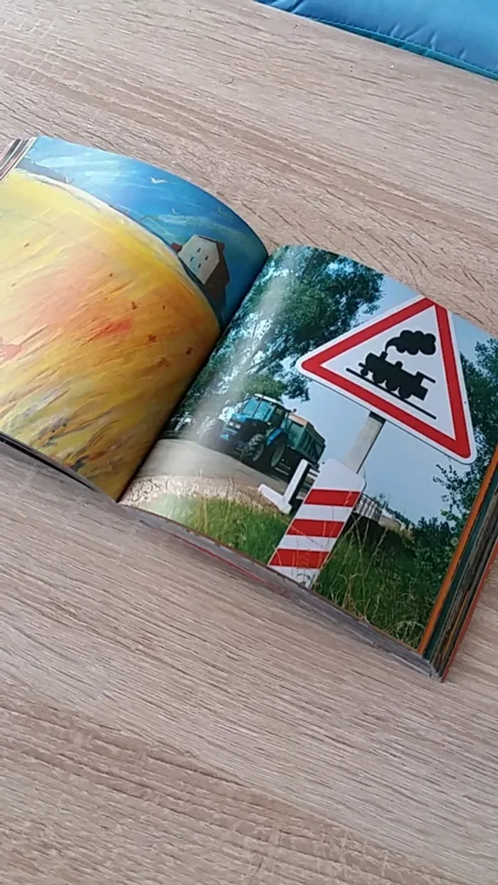 Livre d'images sans texte " tout un monde " - photo numéro 4
